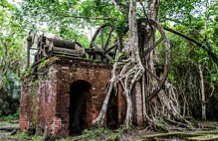 Lamanai Outpost Lodge