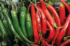 Mexico-Chili-Pepper-Domestication