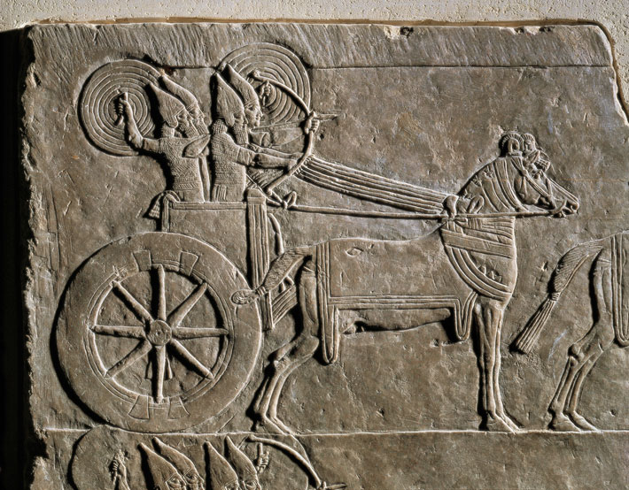 Horses Assyrian Warchariot