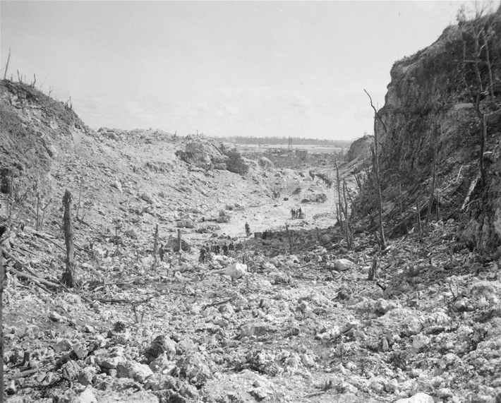 Peleliu WWII Battlefield Landscape