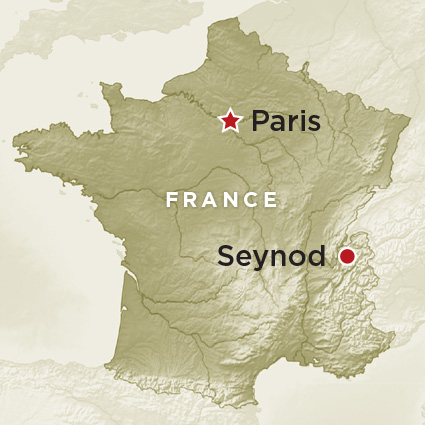 Artifact Map France Seynod