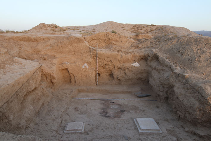A temple was recently discovered at Panjakent by a team led by State Hermitage Museum archaeologist Pavel Lurje. Small fragments of wall paintings and two stone bases from the temple are visible in this photograph. 