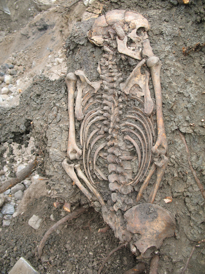 Trenches Sweden Sigtuna Skeleton