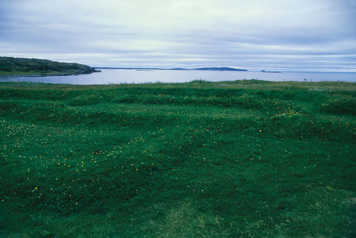 Top Ten Newfoundland Viking Settlement