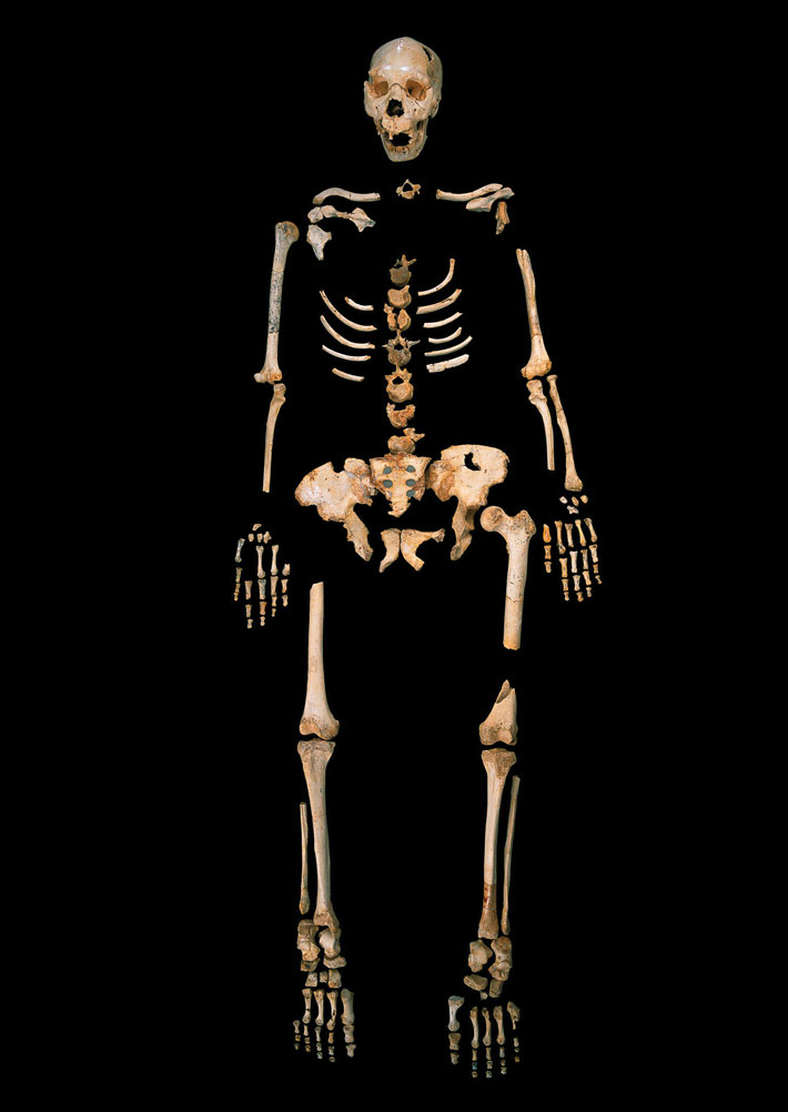 Homo heidelbergensis skeleton