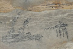 ATW Madagascar Rock Art