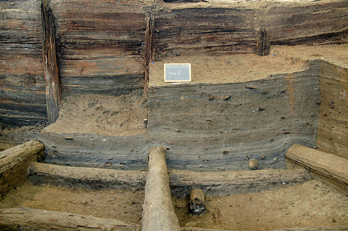Excavated layers of sediment in the Noceto pool did not contain indicators of domestic activity, such as ash and charcoal, but instead sediments of the sort that would be found in a lake. This led archaeologists to conclude they had uncovered an artificial pool.