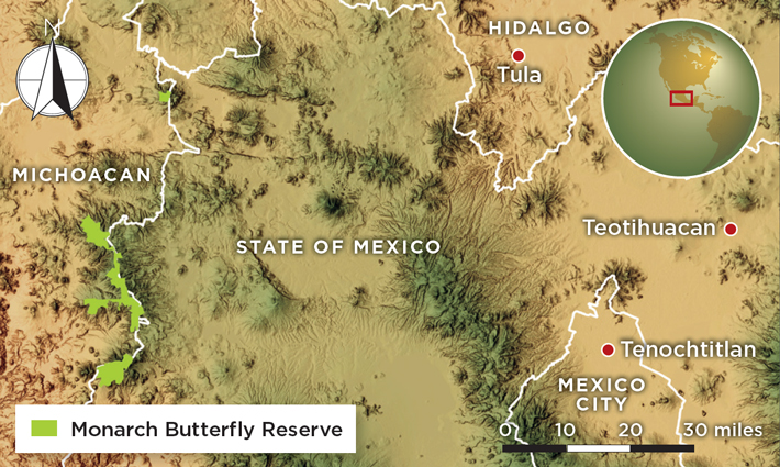 Mexico Butterflies Maps