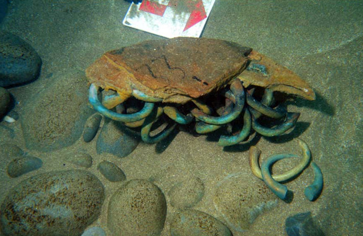 Manillas, horseshoe-shaped brass rings used as currency by Europeans to trade with West Africans, were among the items found in the wreck of a Flemish ship that sank in 1524 off the town of Getaria in northern Spain. (Ana Maria Benito-Dominguez, CC-BY 4.0)