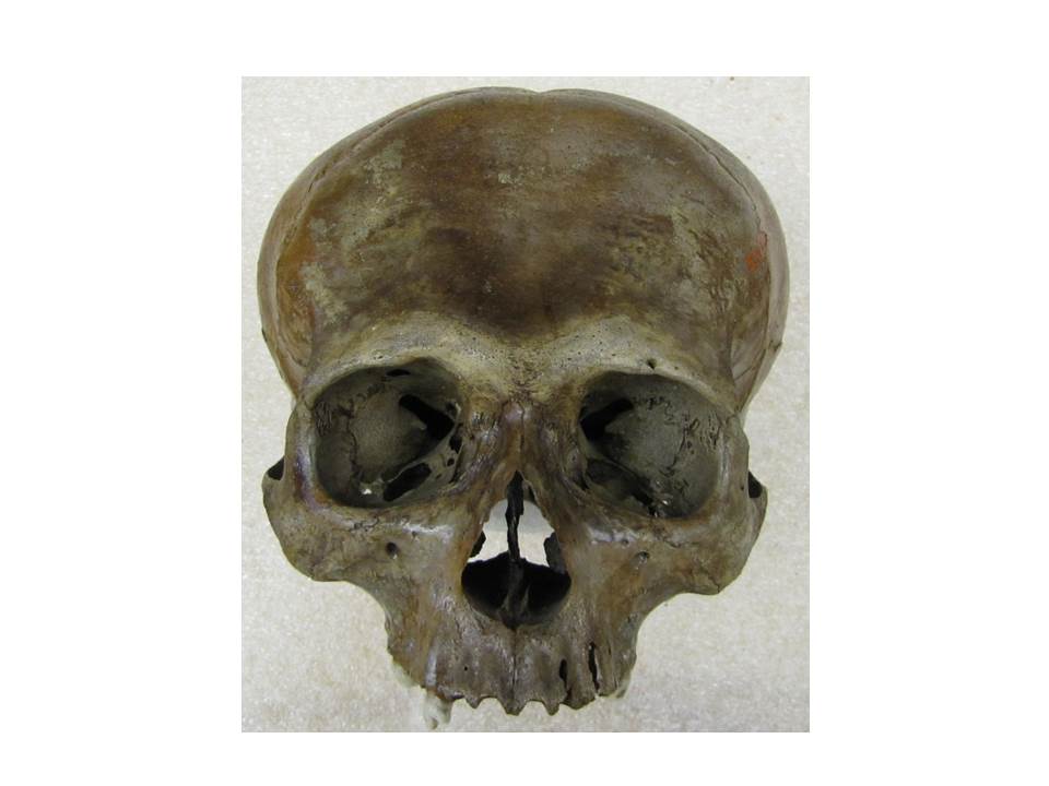 Mexican-skull
