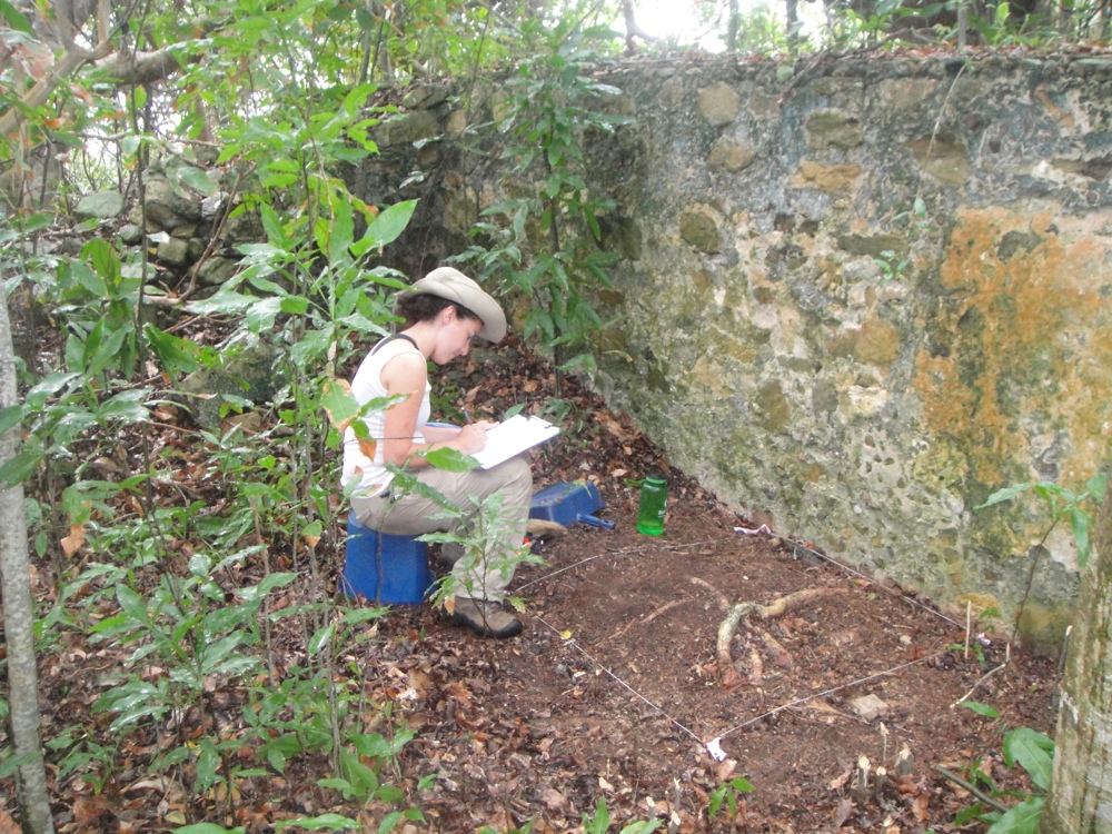 Virgin-Islands-caribbean-excavation-site-magic