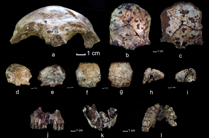 Laos Fossils Modern Human Evolution