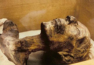 Egypt mummy height