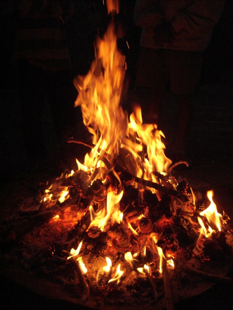 campfire tuberculosis transmission