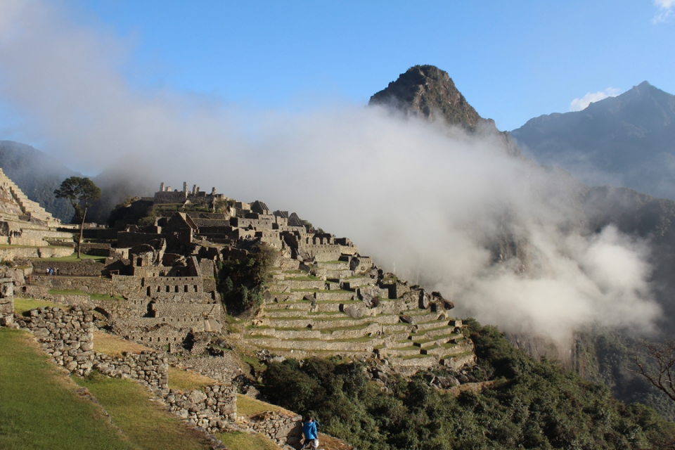 Machu Picchu DNA