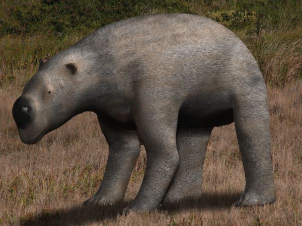 Australia megafauna extinctions