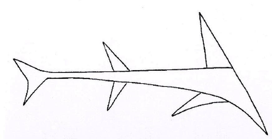 Japan bronze shark