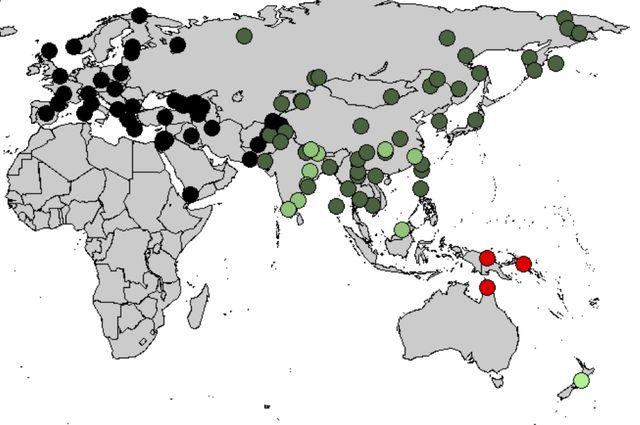 DNA Denisovan South Asia