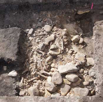 dating bones archaeology