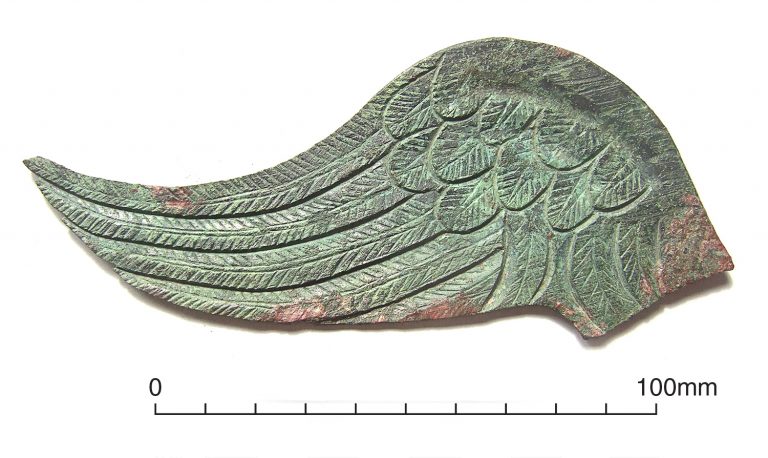 Gloucester bronze wing
