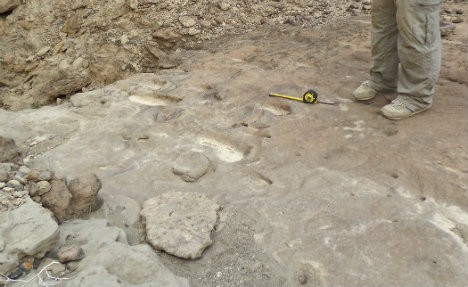 Homo Erectus footprints