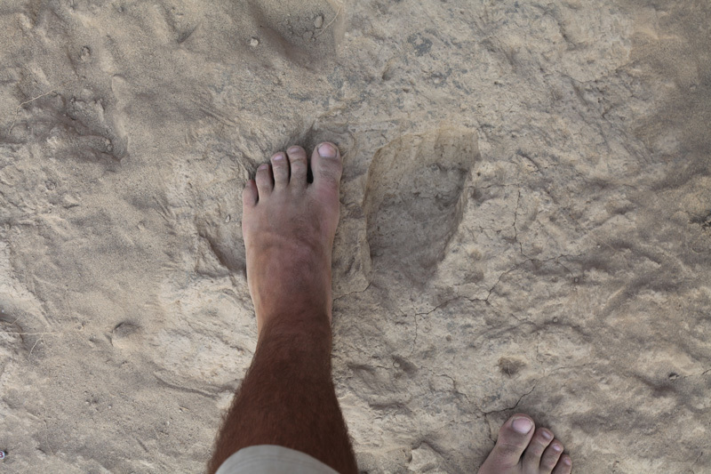 Kenya homo erectus modern footprint