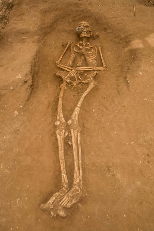 Philistine Cemetery Unearthed