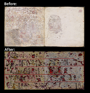 Codex Selden imaging