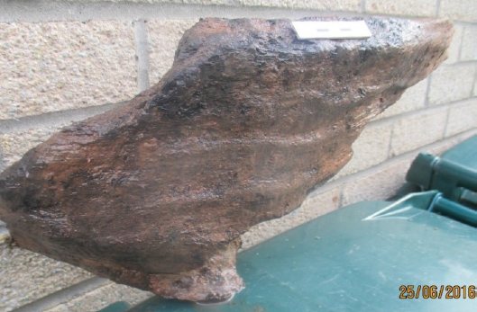 Wales Bronze Age Boat