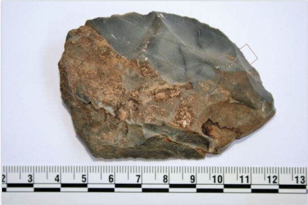 stone tools residues