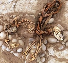 Peru dog burial