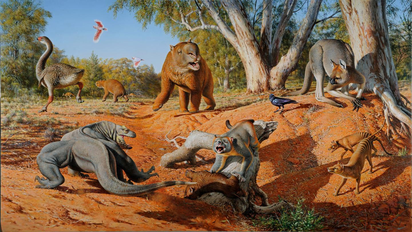 Australia megafauna extinction