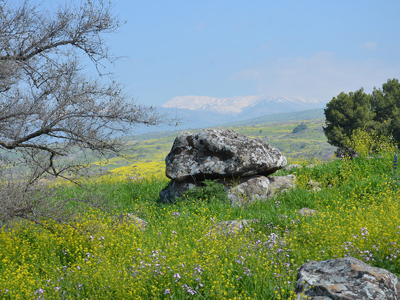 Israel dolmen art