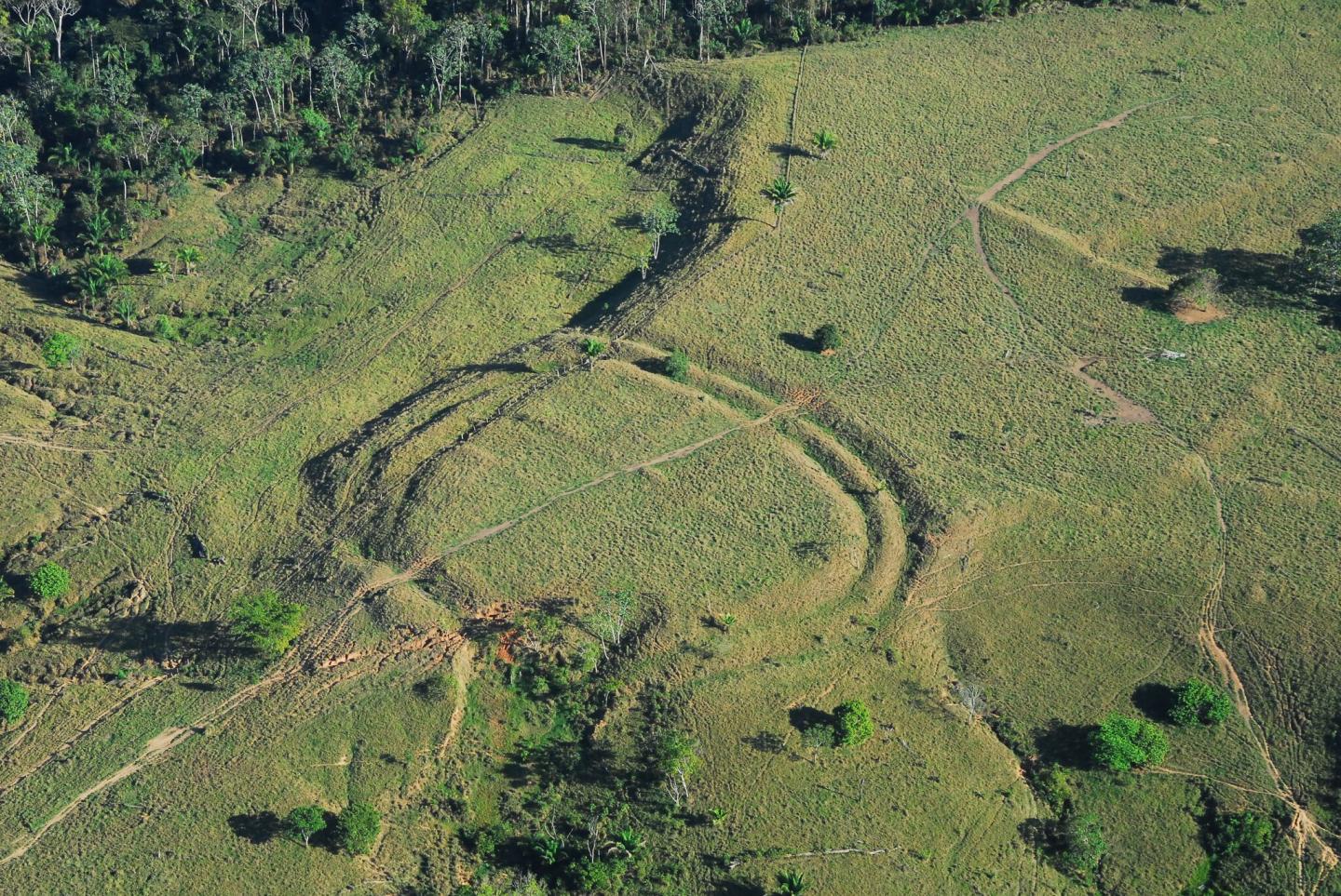 Amazon landscape geoglyphs