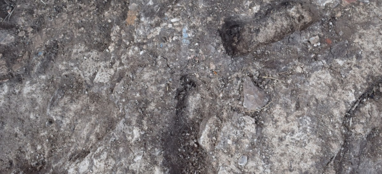 Egypt Pi Ramesse Child Footprints