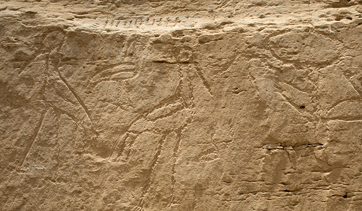 Egypt rock art