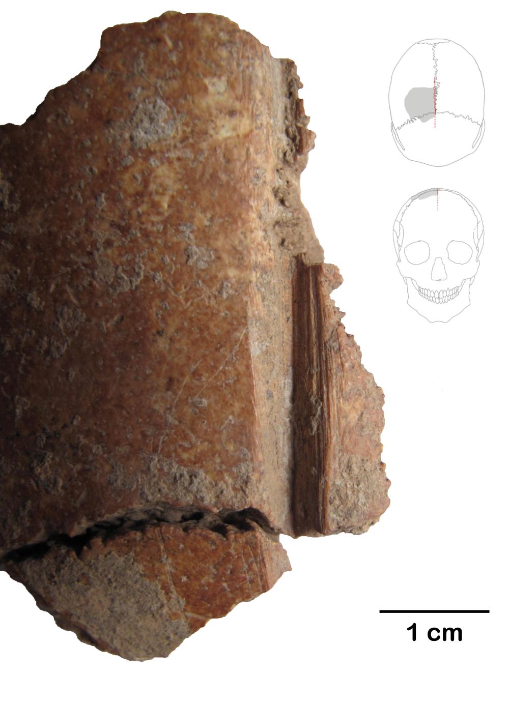 Gobekli Tepe skull fragment