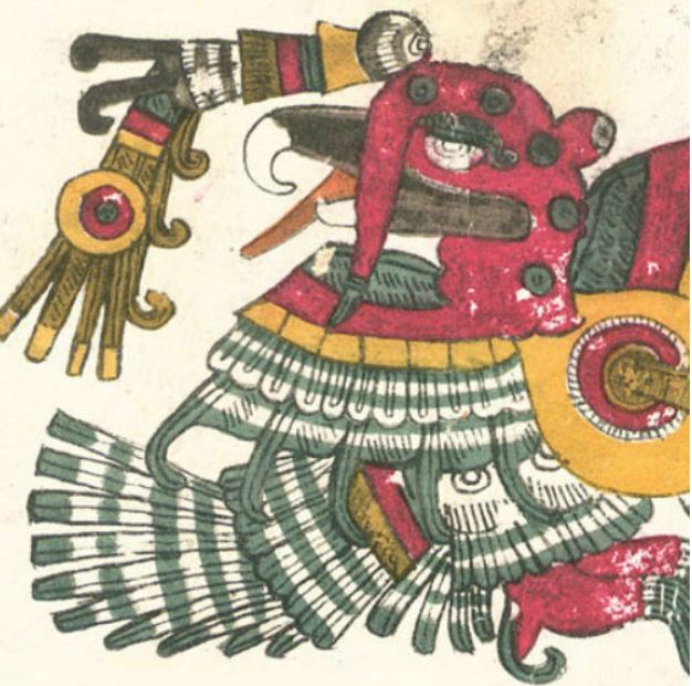 Mesoamerica domesticated turkeys