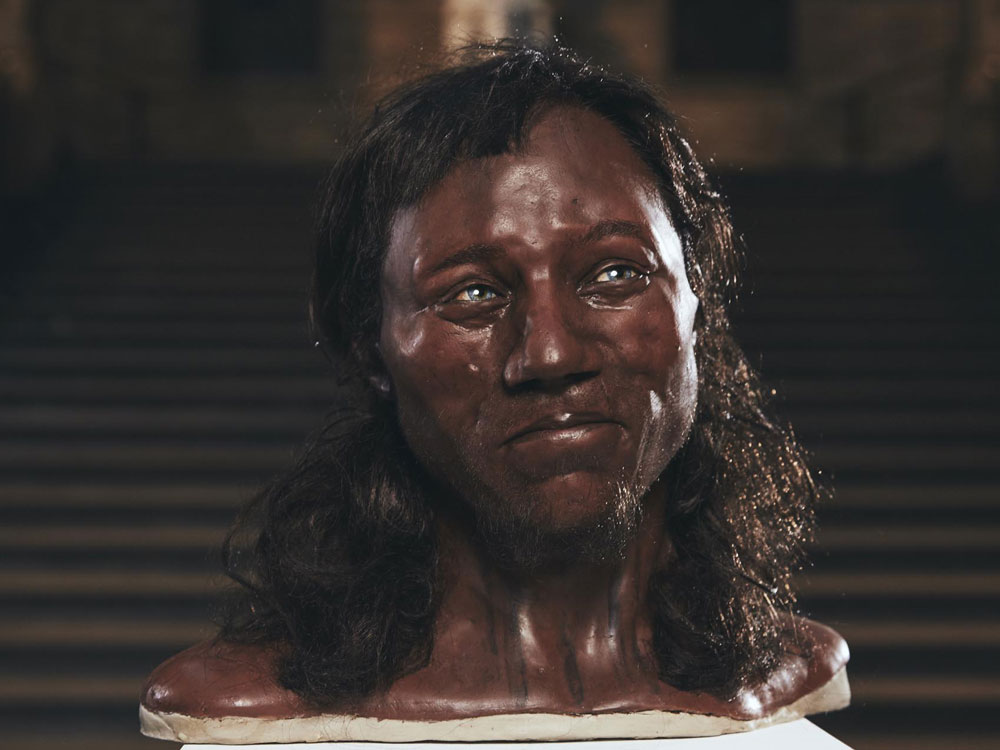 Cheddar Man reconstruction