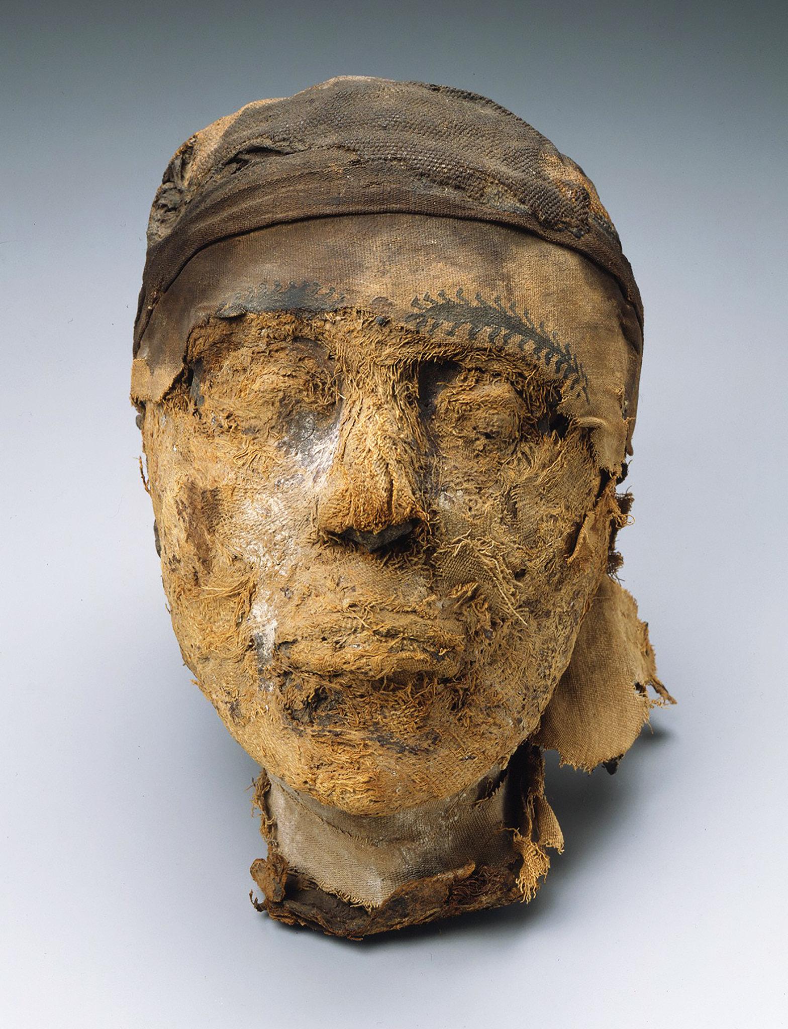 Egypt Mummy Head
