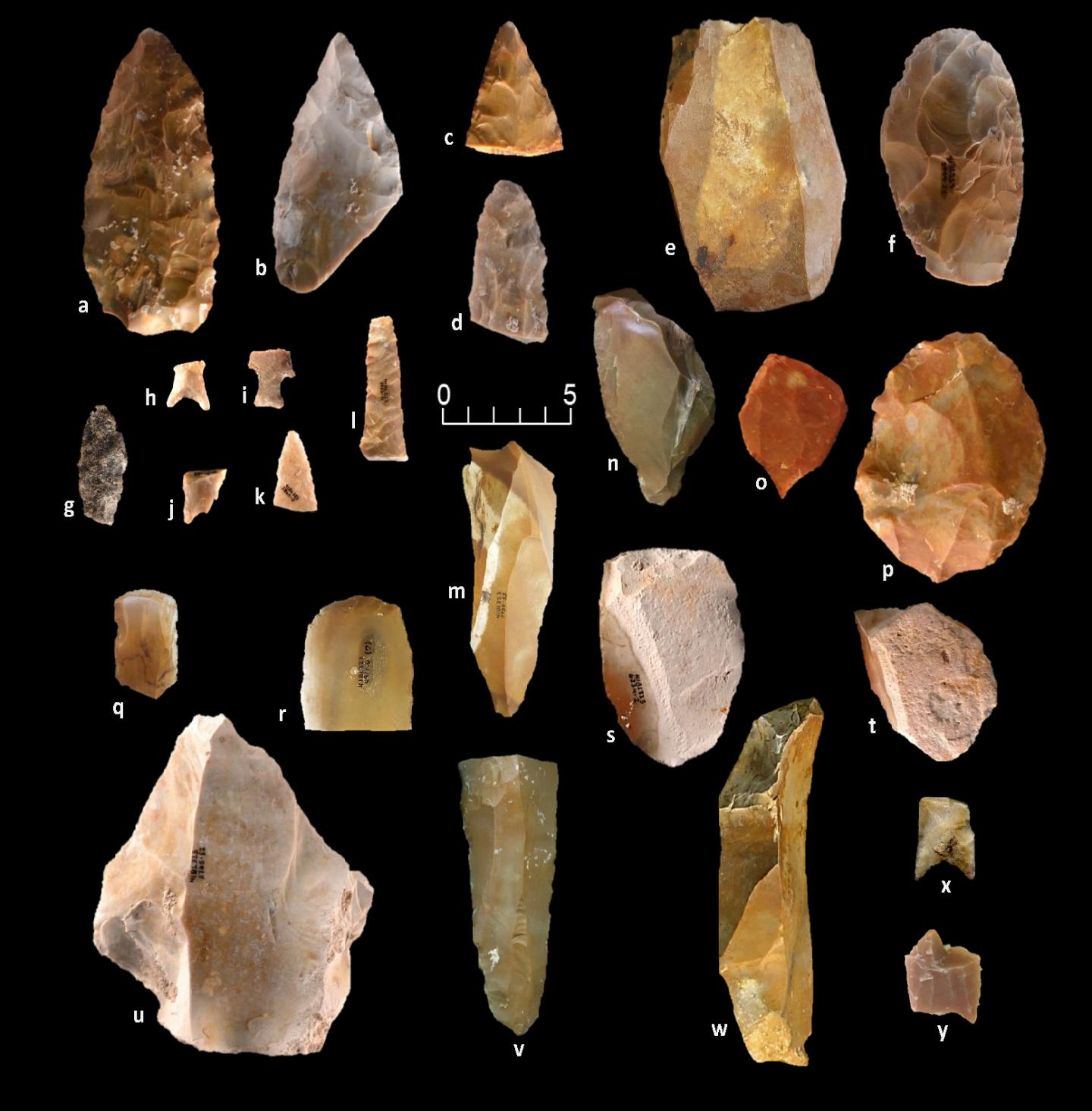 Texas stone tools