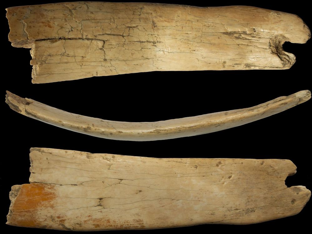 Denisovan ivory tiara