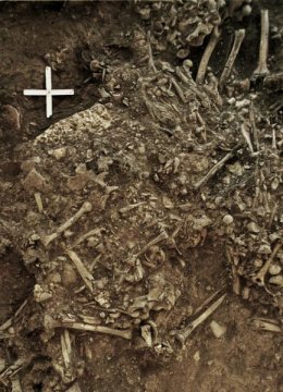 Sweden Neolithic plague