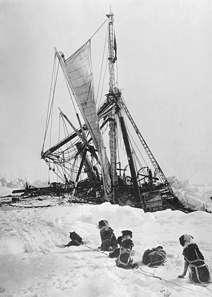 Shackleton Endurance search