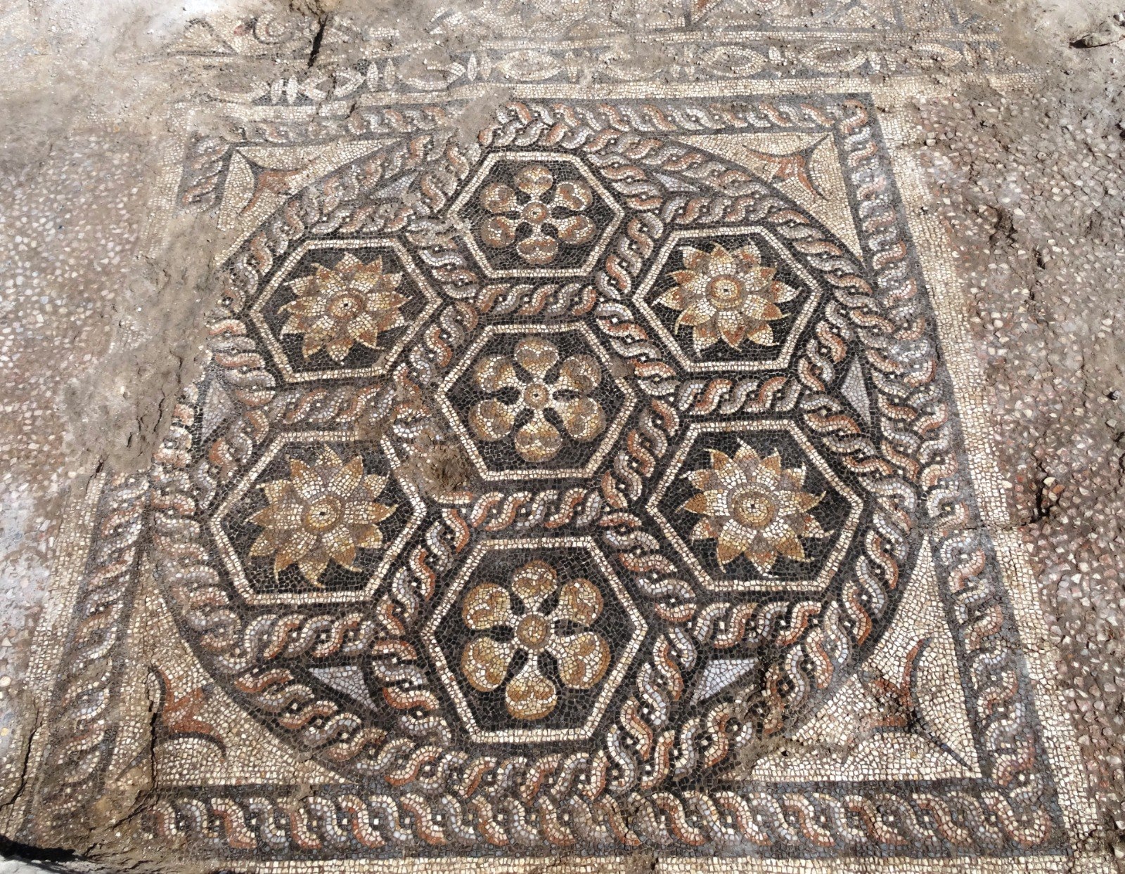 Egypt Alexandria mosaic