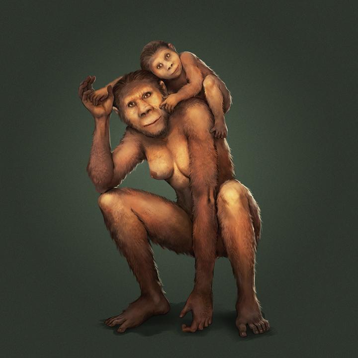 breastfeeding Australopithecus africanus