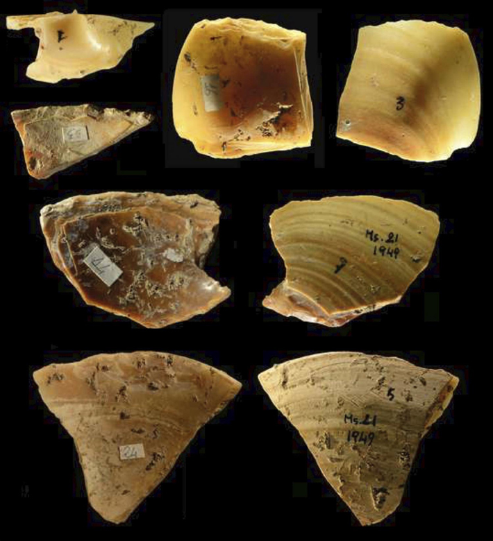 Neanderthal Shell Tools