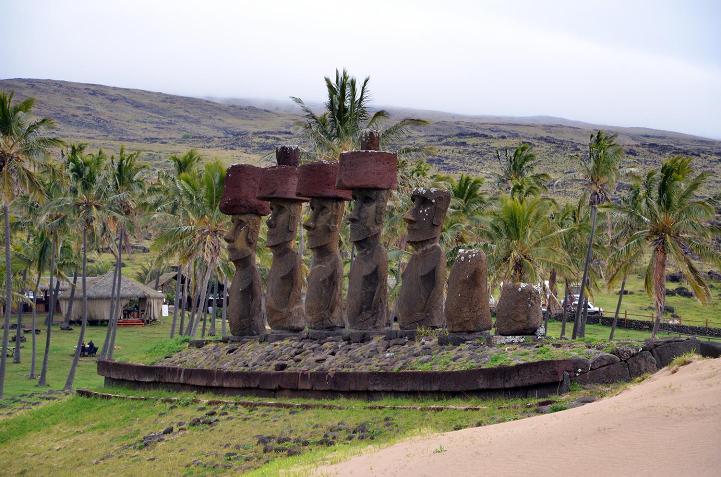 Easter Island Collapse