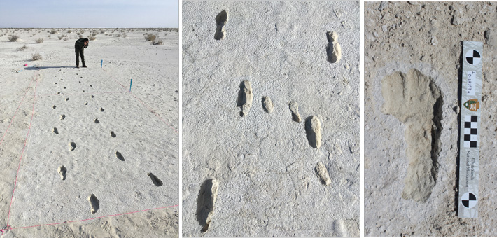 White Sands Human Footprints Adult and Child