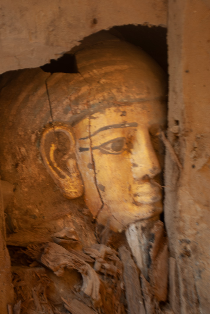 Saqqara Painted Coffin